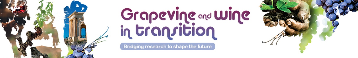 Logo du colloque